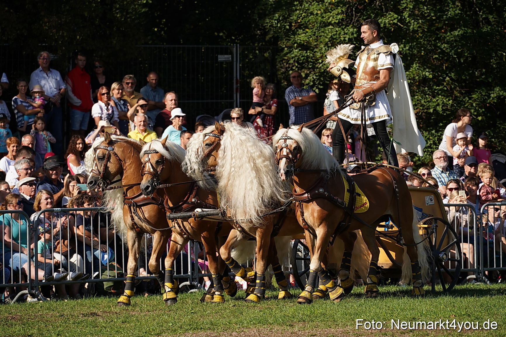 Pferde und Fohlenschau 2022 0019 